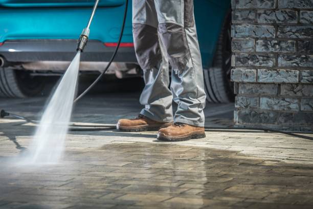 Best Animal Enclosure Cleaning  in Norris City, IL