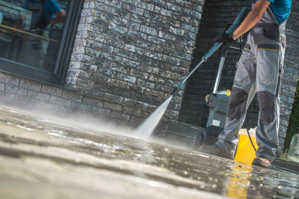 Best Soft Washing  in Norris City, IL