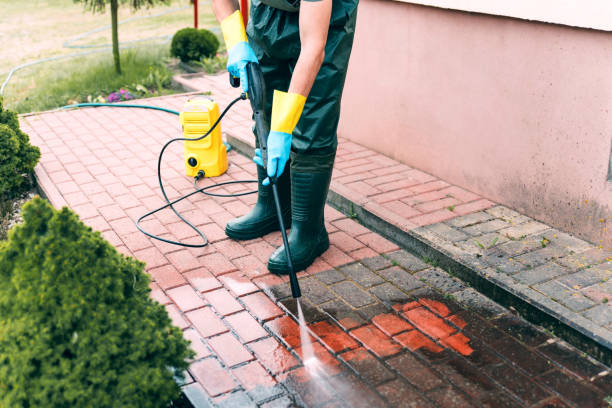 Best Dumpster Area Cleaning  in Norris City, IL