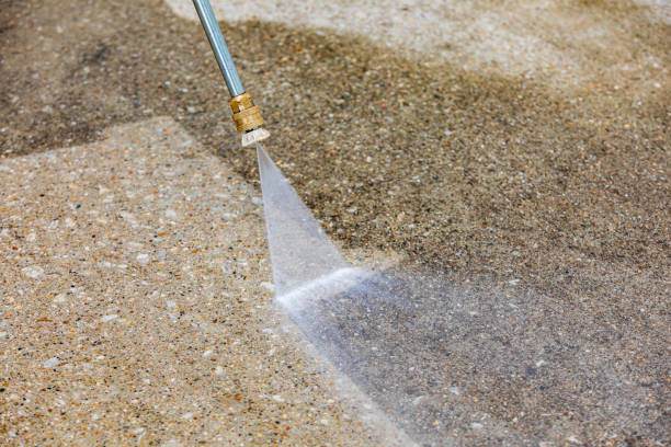Best Driveway Pressure Washing  in Norris City, IL