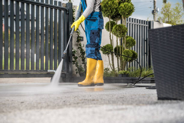 Best Gutter Cleaning  in Norris City, IL